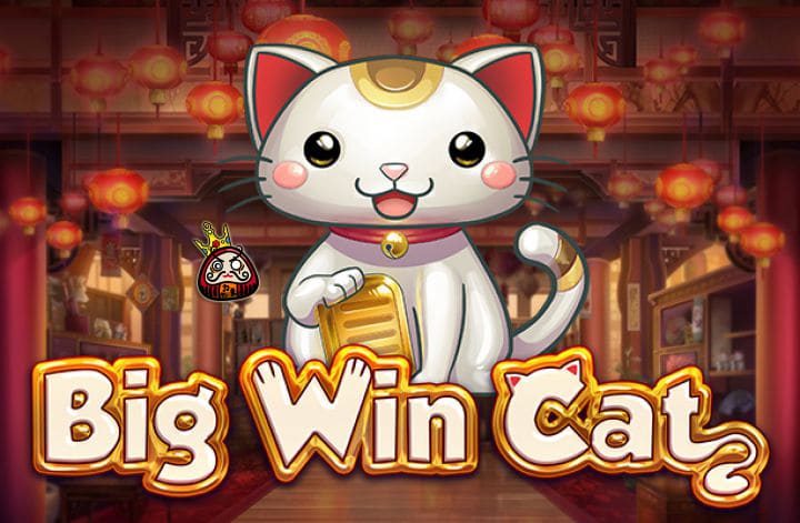 Big Cat Win 注目の画像