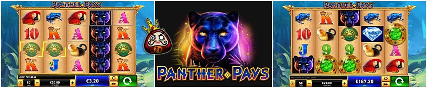 Panther Pays 注目の画像